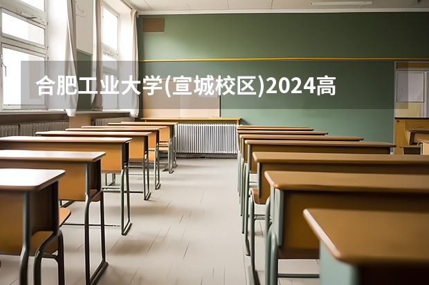 合肥工业大学(宣城校区)2024高考山东招生计划