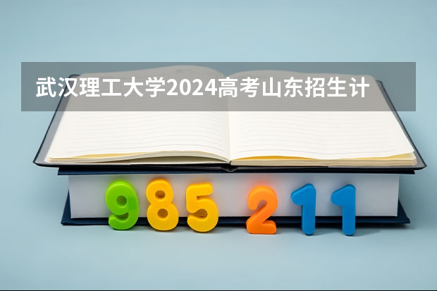 武汉理工大学2024高考山东招生计划