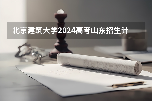 北京建筑大学2024高考山东招生计划