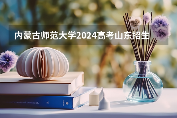 内蒙古师范大学2024高考山东招生计划
