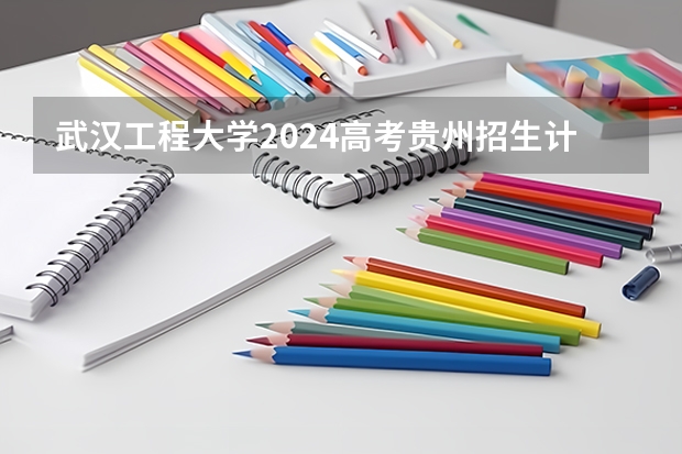 武汉工程大学2024高考贵州招生计划