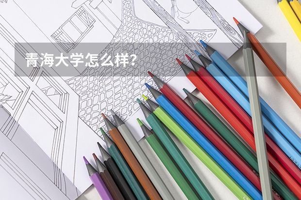 青海大学怎么样？