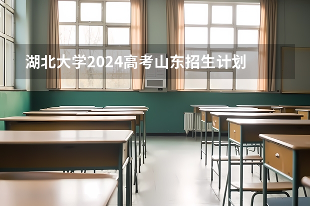 湖北大学2024高考山东招生计划