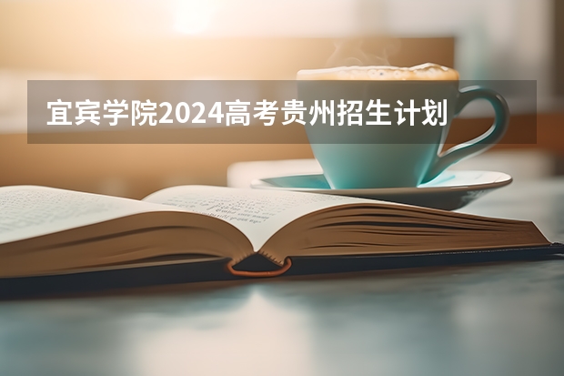 宜宾学院2024高考贵州招生计划