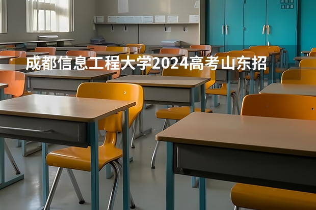成都信息工程大学2024高考山东招生计划