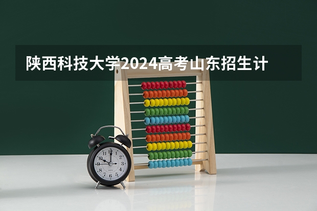 陕西科技大学2024高考山东招生计划