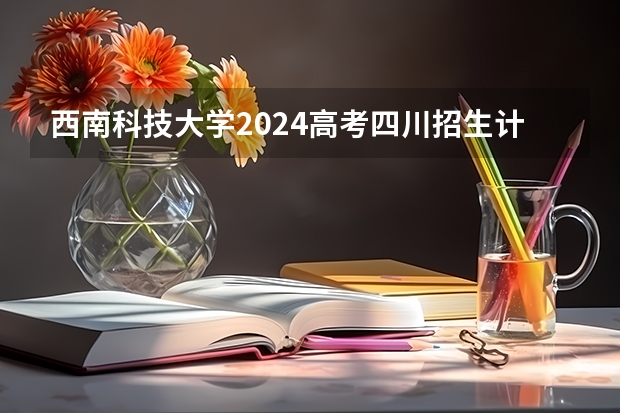 西南科技大学2024高考四川招生计划