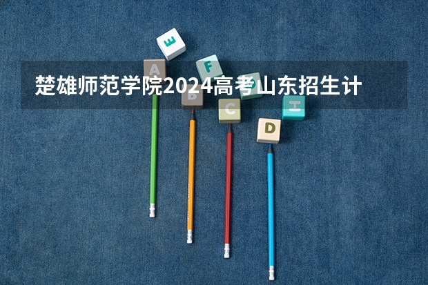 楚雄师范学院2024高考山东招生计划