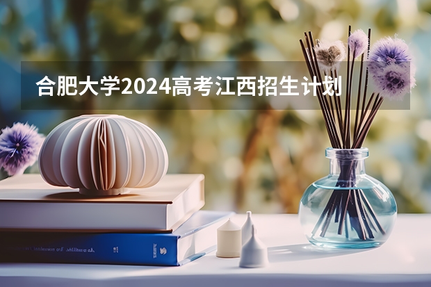 合肥大学2024高考江西招生计划