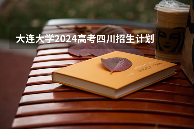 大连大学2024高考四川招生计划