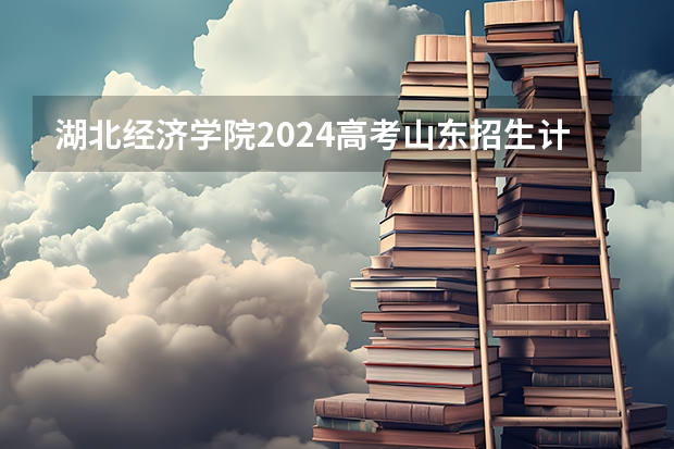 湖北经济学院2024高考山东招生计划