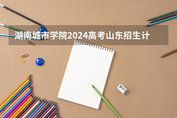 湖南城市学院2024高考山东招生计划