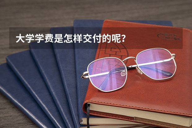 大学学费是怎样交付的呢?