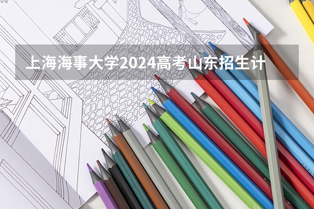 上海海事大学2024高考山东招生计划