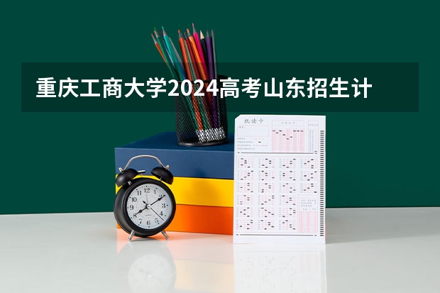 重庆工商大学2024高考山东招生计划