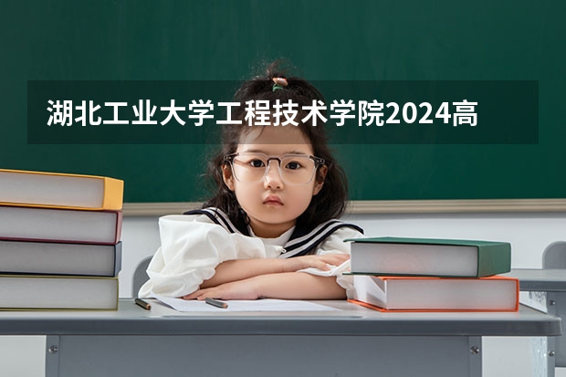 湖北工业大学工程技术学院2024高考山东招生计划