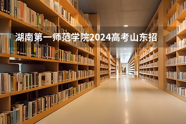 湖南第一师范学院2024高考山东招生计划