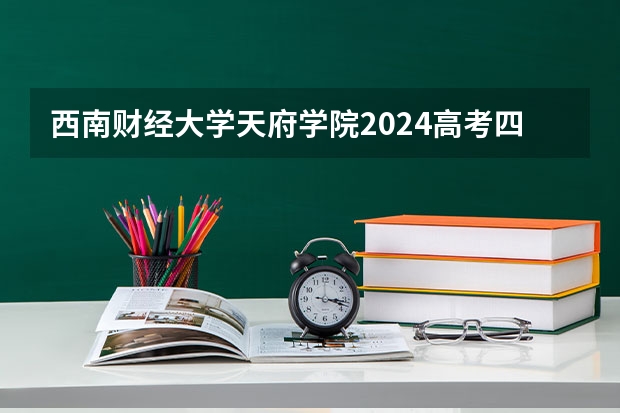西南财经大学天府学院2024高考四川招生计划