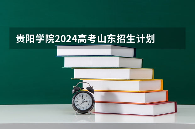 贵阳学院2024高考山东招生计划