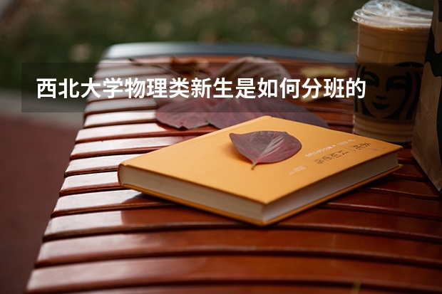 西北大学物理类新生是如何分班的