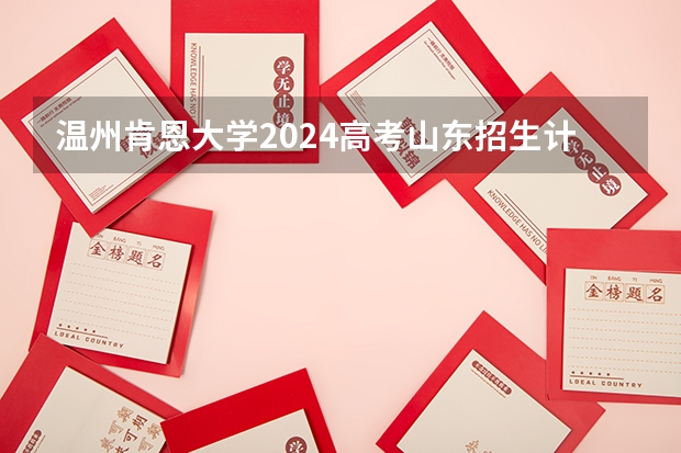 温州肯恩大学2024高考山东招生计划