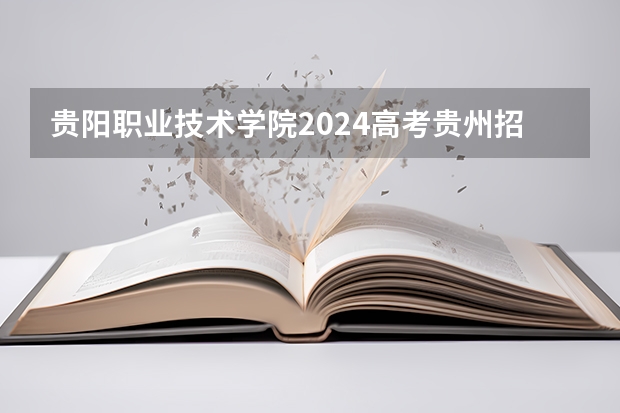 贵阳职业技术学院2024高考贵州招生计划