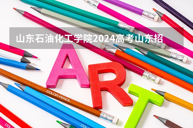 山东石油化工学院2024高考山东招生计划