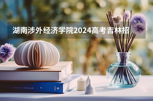 湖南涉外经济学院2024高考吉林招生计划