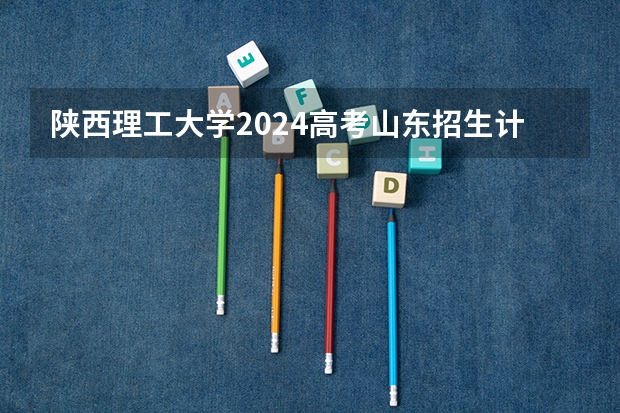 陕西理工大学2024高考山东招生计划
