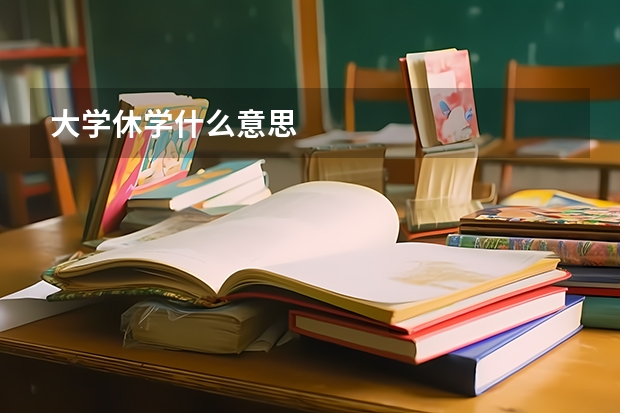 大学休学什么意思