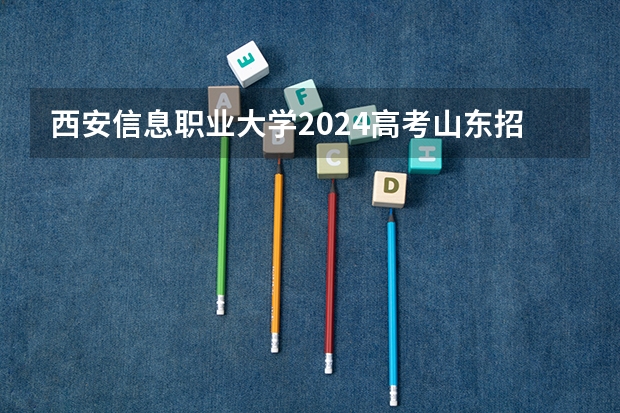 西安信息职业大学2024高考山东招生计划