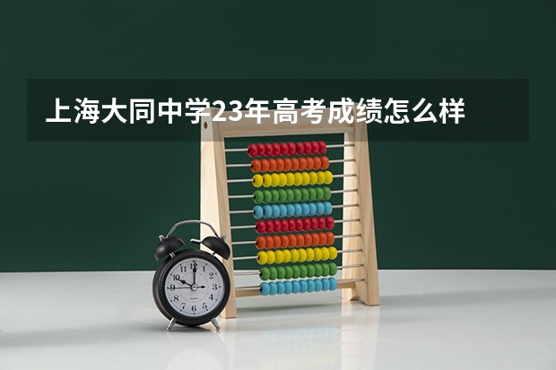 上海大同中学23年高考成绩怎么样