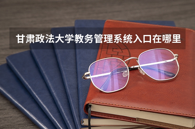 甘肃政法大学教务管理系统入口在哪里