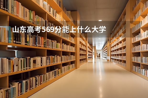 山东高考569分能上什么大学