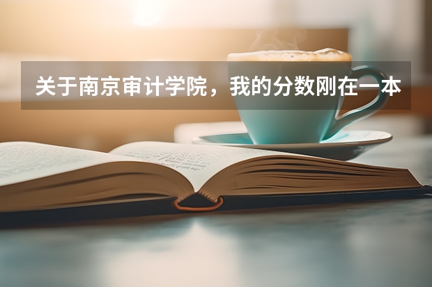 关于南京审计学院，我的分数刚在一本线上，能上它的经济类专业吗？？西藏的