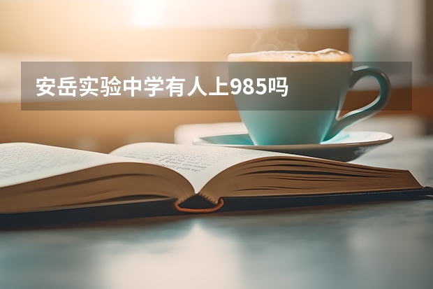 安岳实验中学有人上985吗
