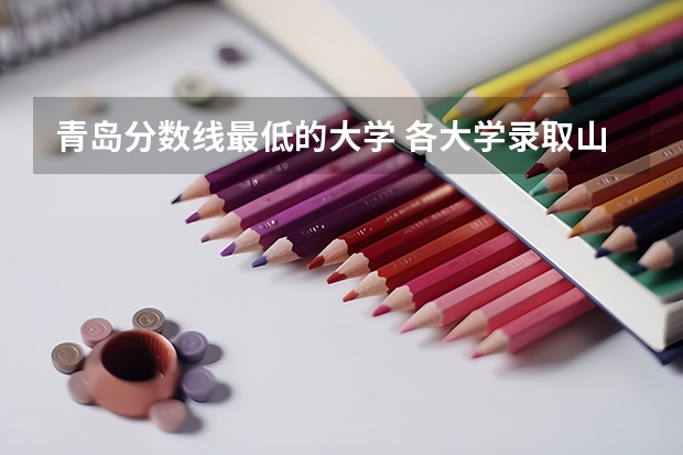 青岛分数线最低的大学 各大学录取山东考生分数线