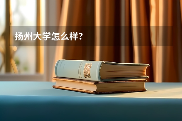 扬州大学怎么样？