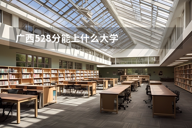 广西528分能上什么大学