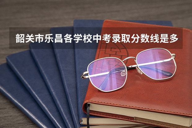 韶关市乐昌各学校中考录取分数线是多少?