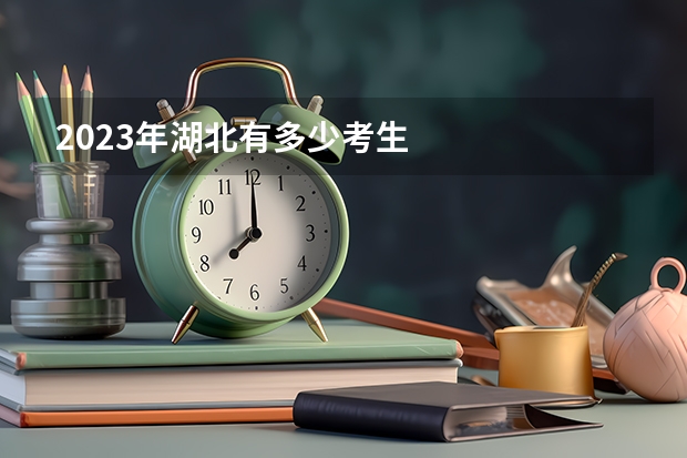 2023年湖北有多少考生