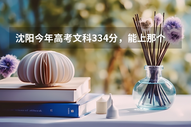 沈阳今年高考文科334分,能上那个大学!花钱大约多少!