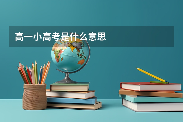 高一小高考是什么意思