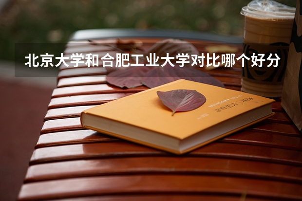 北京大学和合肥工业大学对比哪个好分析