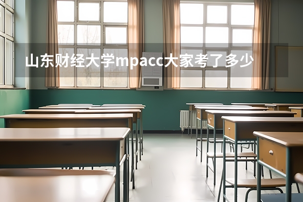 山东财经大学mpacc大家考了多少分