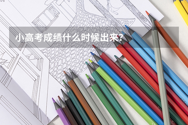 小高考成绩什么时候出来？