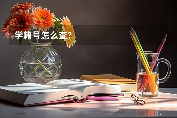 学籍号怎么查?