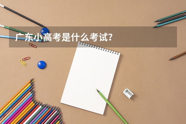 广东小高考是什么考试？