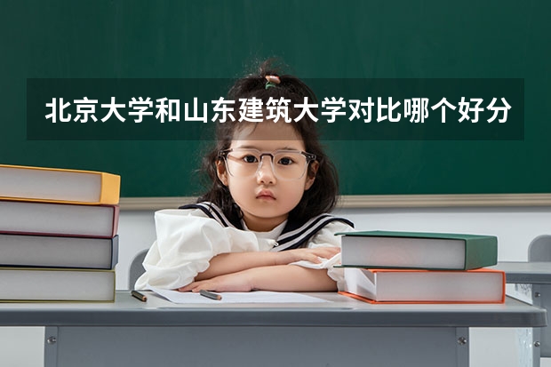 北京大学和山东建筑大学对比哪个好分析