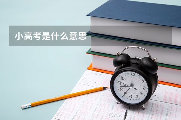 小高考是什么意思